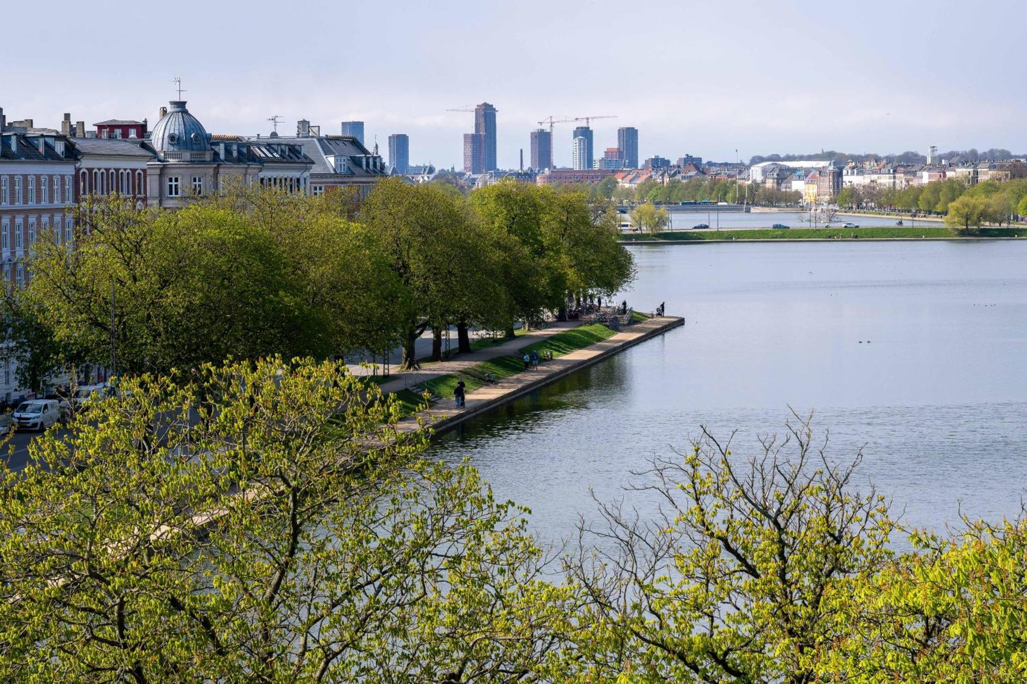 Lejlighed 3 Bedroom In Lovely Area København